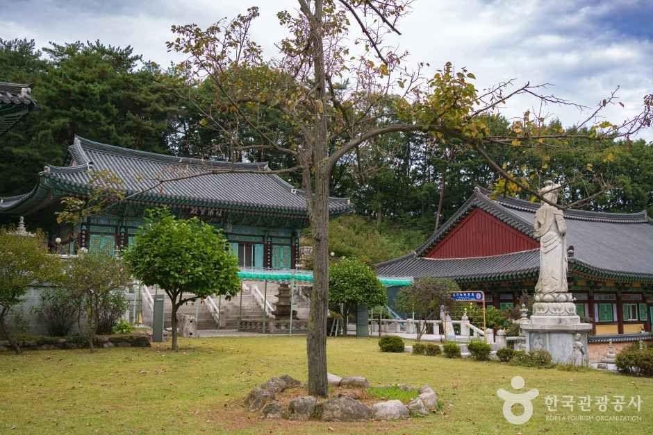 의정부 사패산 회룡사 길지