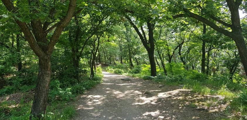 호암산 호압사 — 호랑이 기운 누른 비보 사찰