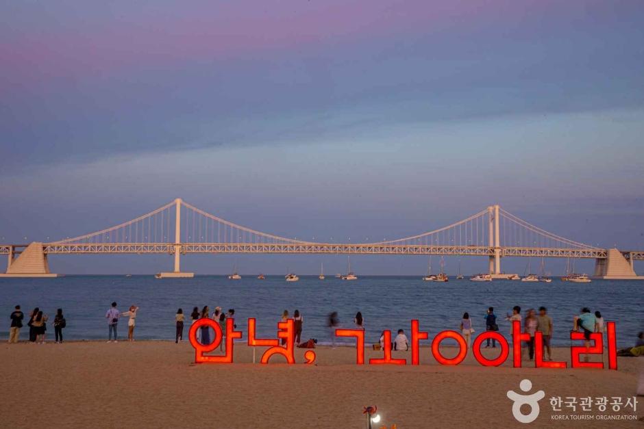 부산 광안리 해변 — 광안대교 야경 핫플