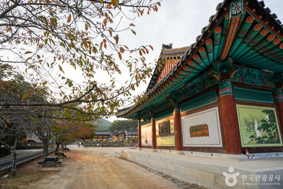 영천 은해사 — 팔공산 은빛 바다 도량