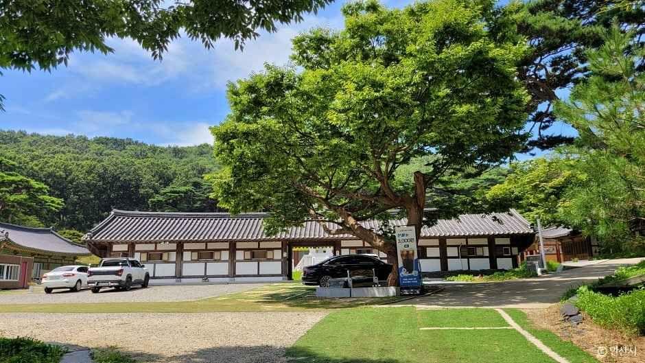 안산 대부도 서해 해안 명소