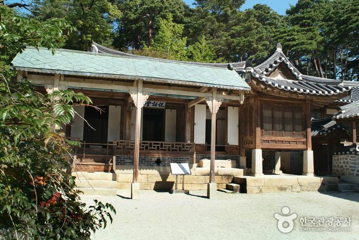 경포호 — 동해 일출 수변 명당