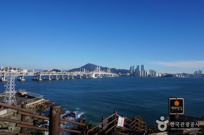 부산 이기대 해안산책로 — 갯바위 조망 명소