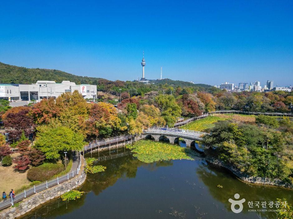 성당못 (임금 태어날 명당 전설)