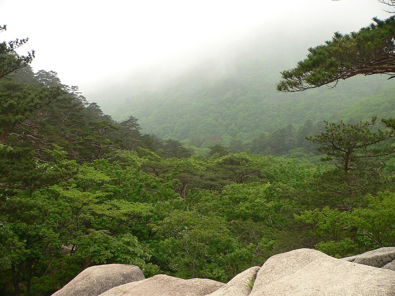 설악산 수렴동 계곡 수변 명당