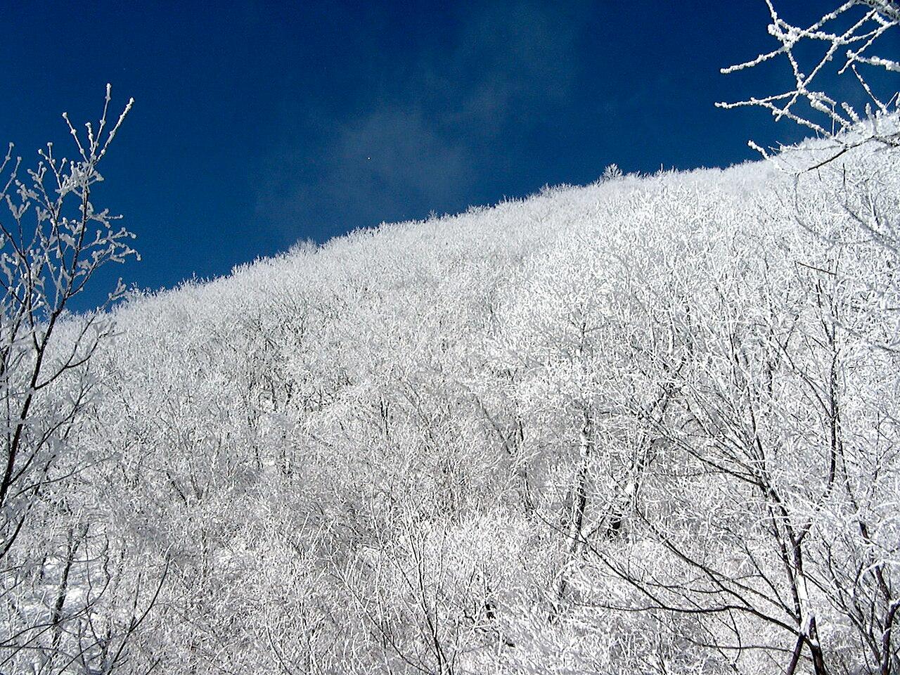 소백산 비로봉 중앙 분지